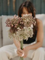 Romantic Bouquet Collection - För den som vill fira kärleken