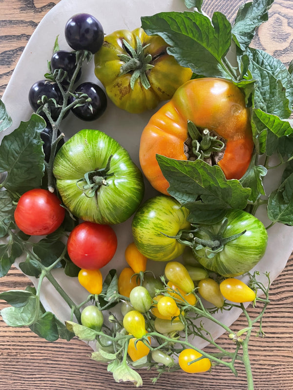 Vilka tomatsorter ska jag odla?