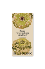 Zinnia ´Queeny Lime with blush´