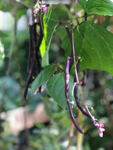 Julklapp till esteten