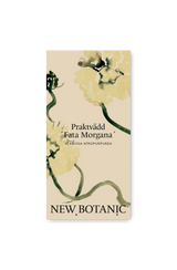 Praktvädd 'Fata Morgana'