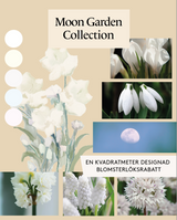 Moon Garden Collection - designad perenn rådjurssäker blomsterlöksrabatt