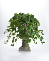 Ampelgurka 'Quick snack' - Nyhet!