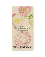 Aster ´King Size Apricot´