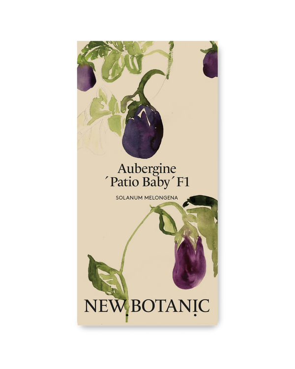 Aubergine ´Patio Baby´F1 - inomhusodling