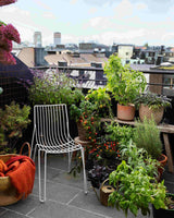 Balcony Beauty Collection - För balkongodlaren