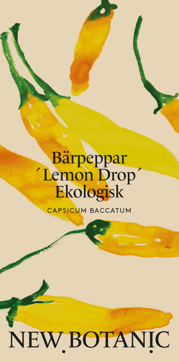 Bärpeppar ´Lemon Drop´ Ekologisk - Nyhet!