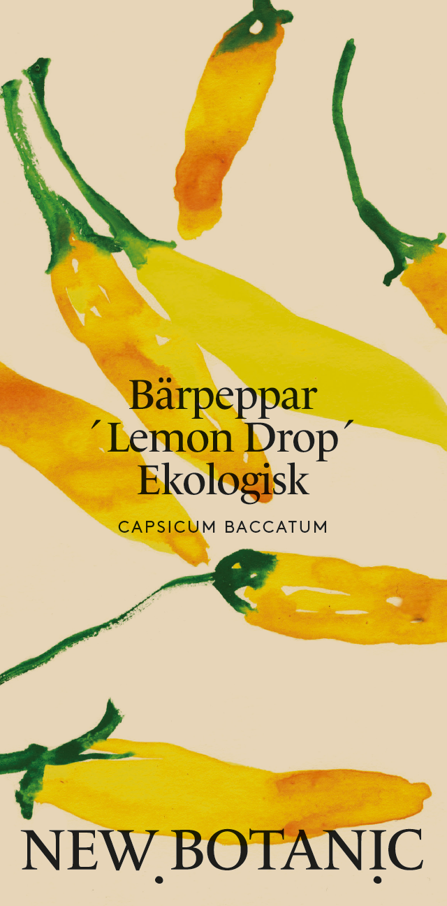 Bärpeppar ´Lemon Drop´ Ekologisk - Nyhet!