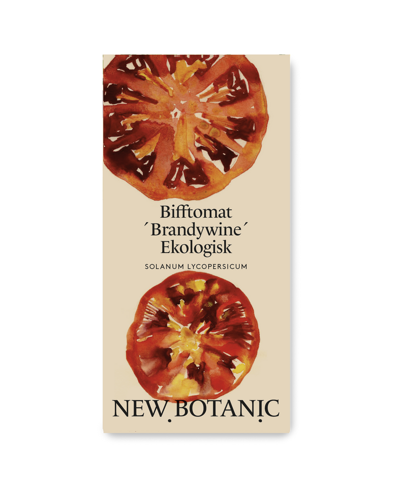 Bifftomat ´Brandywine´ Ekologisk