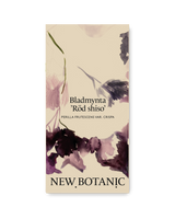 Bladmynta 'Röd shiso’ - Nyhet!