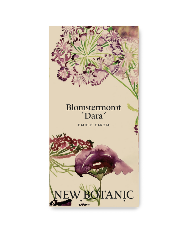 Blomstermorot 'Dara'