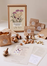 Blush Bordeaux Collection - designed perennial deer-proof flower bulb bed