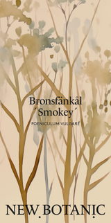 Bronsfänkål 'Smokey' - Nyhet!