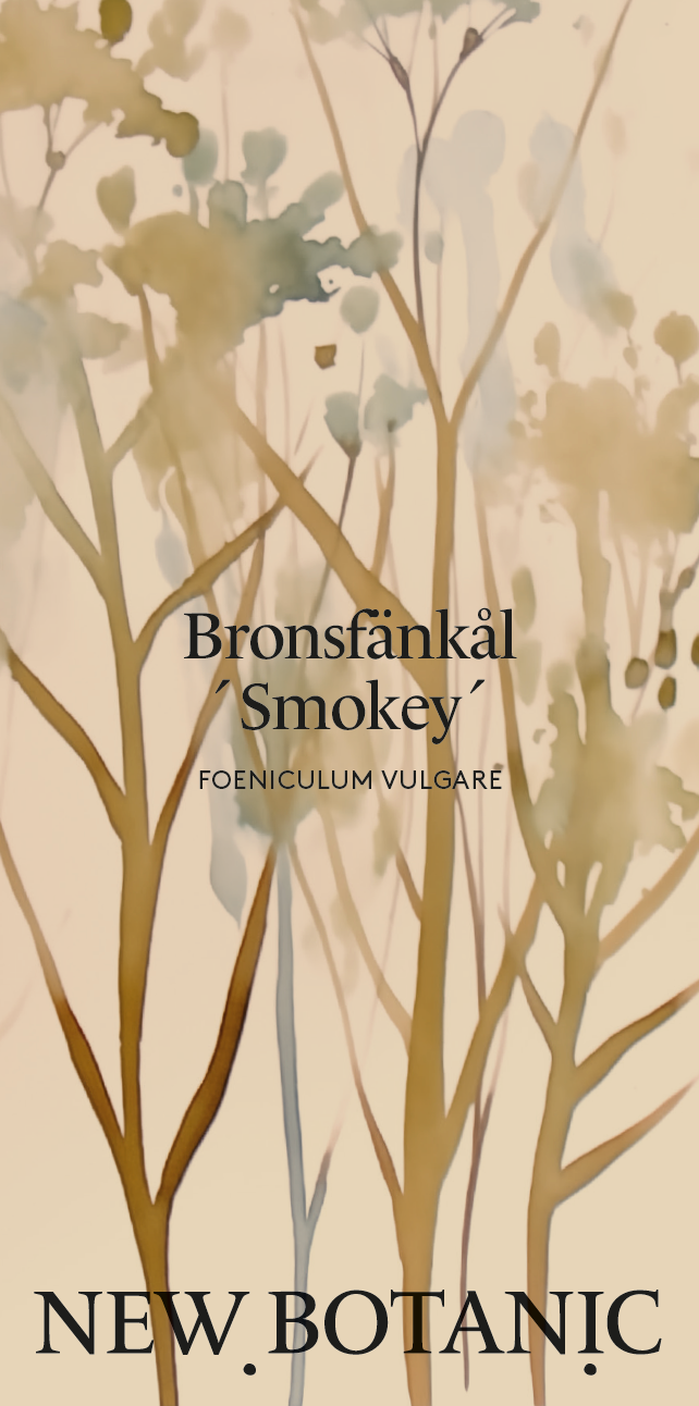 Bronsfänkål 'Smokey' - Nyhet!