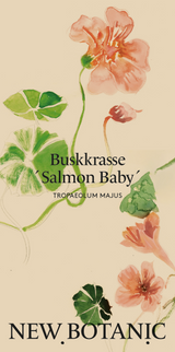 Buskkrasse 'Salmon Baby' - Nyhet!