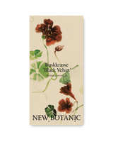 Buskkrasse 'Black Velvet' - Nyhet!