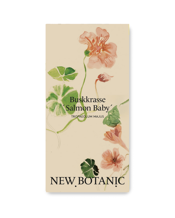 Buskkrasse 'Salmon Baby'
