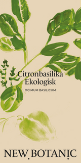 Citronbasilika Ekologisk - Nyhet!