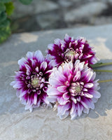 Garden Artist Collection – designad dahliarabatt