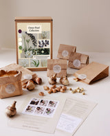 Oyster Pearl Collection - designad blomsterlöksrabatt