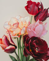 Passionate Collection - Nyhet!
