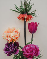 Majestic Collection - Nyhet!