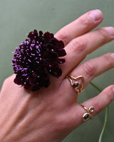 Splendid 'Black Knight' - New! 