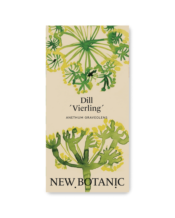 Dill 'Vierling'