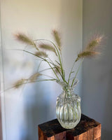 Dunborstgräs - Nyhet!