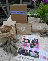 Garden Artist Collection – designad dahliarabatt