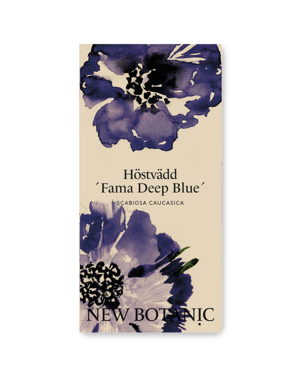 Höstvädd ´Fama Deep Blue´