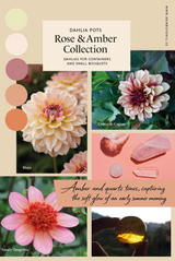 Rose & Amber Collection – dahlior perfekta för krukodling