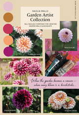 Garden Artist Collection – designad dahliarabatt