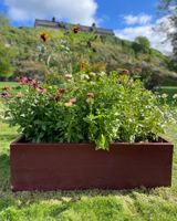 Romantic Flower Collection - A blooming collection for the romantic