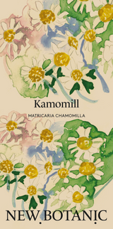 Kamomill - Nyhet!