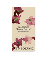 Klocktobak 'Bronze Queen'