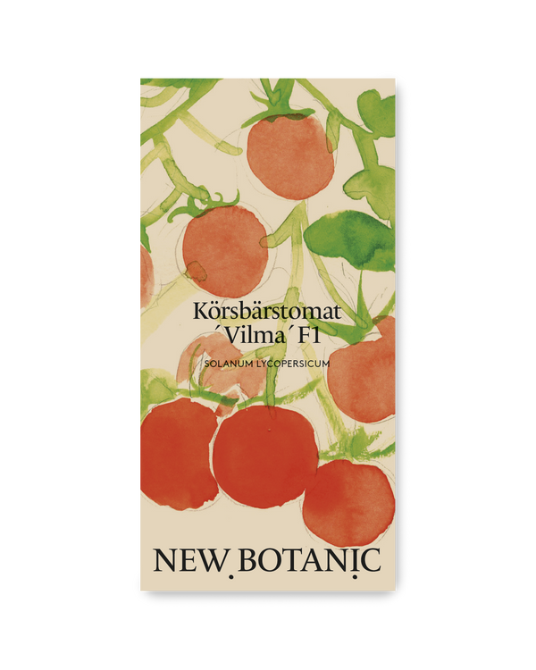 Körsbärstomat´Vilma´