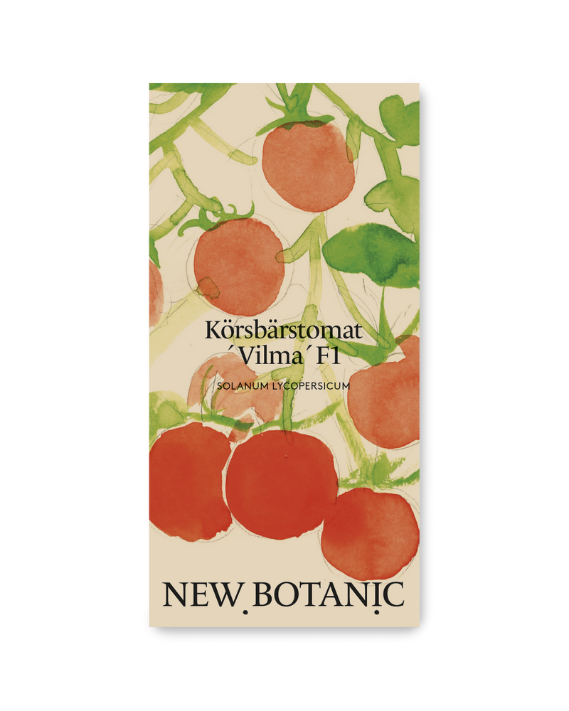 Körsbärstomat´Vilma´