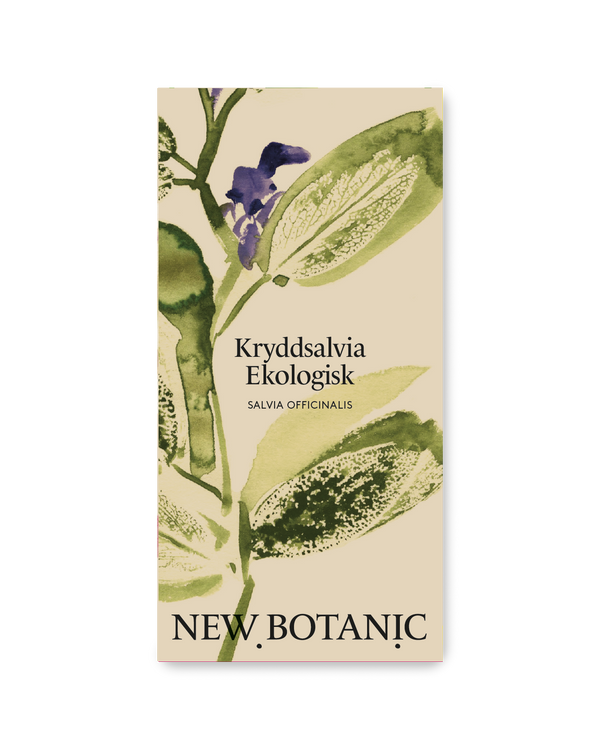 Kryddsalvia Ekologisk