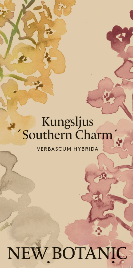 Kungsljus 'Southern charm' - Nyhet!