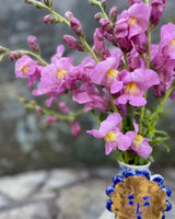 Lejongap 'Opus 3 Lavender' F1 - Nyhet!