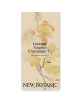 Lejongap 'Snapster Champagne' F1 - Nyhet!