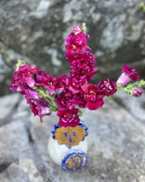 Lejongap 'Madame Butterfly Red' F1 - Nyhet!