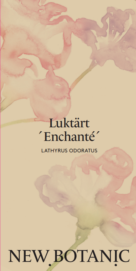 Luktärt 'Enchanté' - Nyhet!