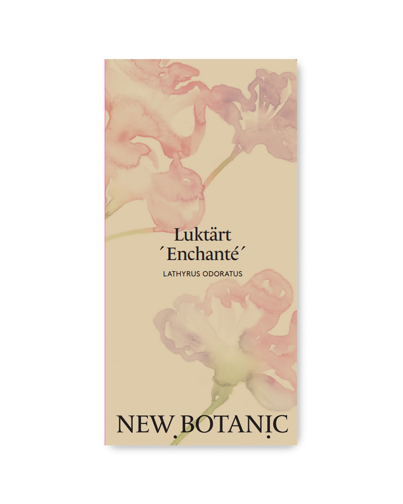 Luktärt 'Enchanté'