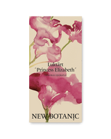 Luktärt 'Princess Elizabeth'