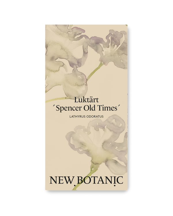 Luktärt 'Spencer Old Times'