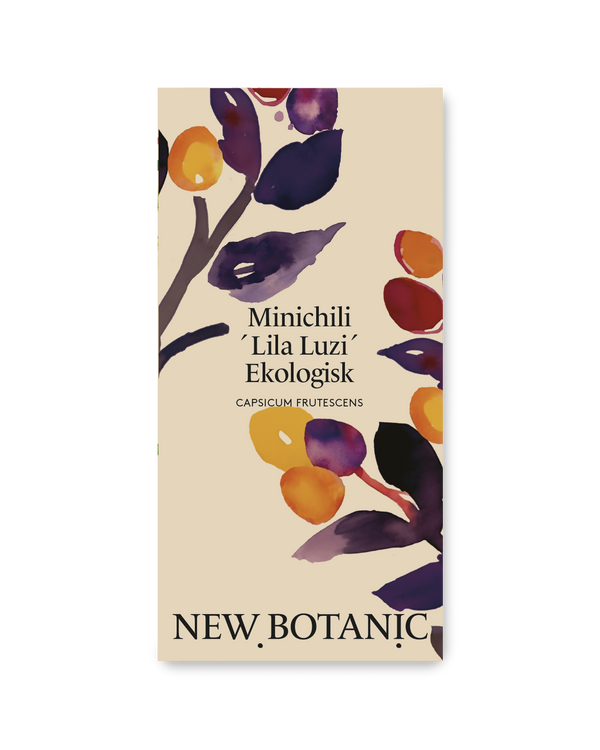 Minichili 'Lila Luzi', Ekologisk