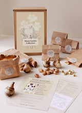 Moon Garden Collection - designad perenn rådjurssäker blomsterlöksrabatt