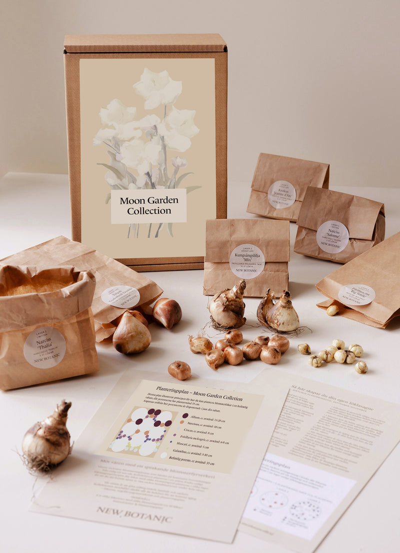Moon Garden Collection - designad perenn rådjurssäker blomsterlöksrabatt